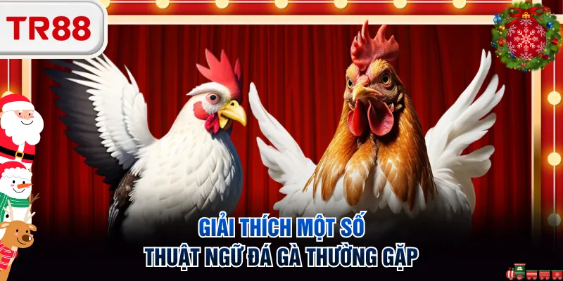 Giải thích một số thuật ngữ đá gà thường gặp