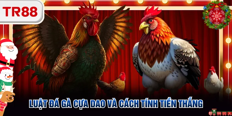 Luật đá gà cựa dao và cách tính tiền thắng