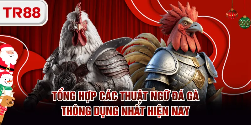 thuật ngữ đá gà