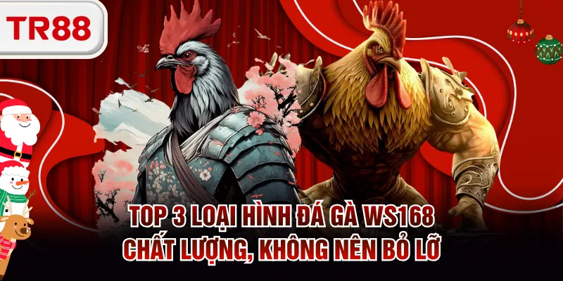 Đá gà WS168